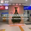 부안고려청자(목포) 이미지