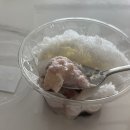 비빙비빙 이미지