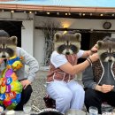 마현민박 이미지