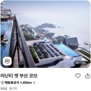 아난티 앳 부산 코브 이미지