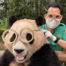 올리브안경갤러리 이미지