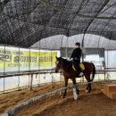 퀸즈승마장 이미지