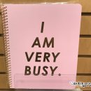 BBANG's HOUSE | Myrtle Beach 여행기 May 25~26 - Myrtle Beach, SC, 2017