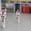 용인대 챌린지 태권도장 이미지