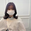 심스헤어 이미지