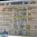 하와이브로