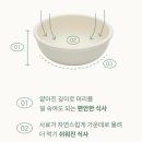 아르르(Arr) 이미지