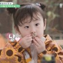 효동2리 이미지