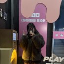 피자월드 | [강남방탈출] 플레이더월드 강남점 - 조선피자몰 후기