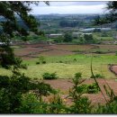 곽금초등학교 이미지