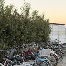 도시공간 | 미야자키 파인 캠프 게스트 하우스 구경 후기, 서핑 도시 감성이 담긴 공간