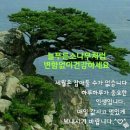 늘푸른건강