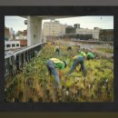 도시재생을 위한 치유정원 만들기 | 배낭메고 가든시티2부- 하이라인정원,리버파크 정원,오테마치포레스트../by Kbs제주