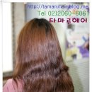 타마루헤어 이미지