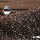 고은집 이미지