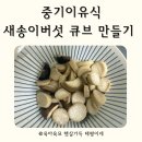 태평중기 이미지