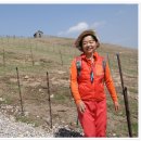 부부목장 이미지