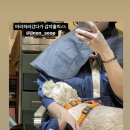 진온숲