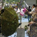 한국화원 - 영등포구 영등포로 225 | 한국화원