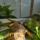 해피주 수원점 이미지