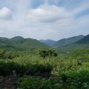 하늘아래첫농장 이미지