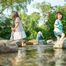 옥룡면 백운학생야영장 주차장 | 어린이 계곡 여행 안전 팁 (경기도, 필수, 체크)
