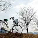 삼광호자전거 이미지