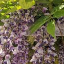 죽전동 행정복지센터 이미지