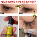 카멜래쉬 이미지
