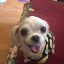 (주)카스 이미지