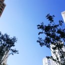 한아람초등학교 병설유치원 이미지