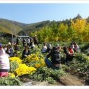 의성꽃화원 이미지