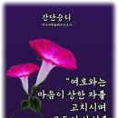 샬롬 Daum카페