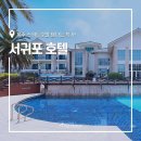 (주)넥스투어 네이버블로그