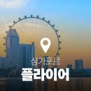 싱가포르 플라이어 | 타임캡슐 탑승 후기 (슈퍼트리쇼와 마리나베이 불꽃놀이 축제도 볼 수 있는 시간 팁!)