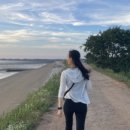 매향리 평화생태공원 이미지