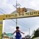 11월 추천 여행지…토박이들이 추천하는 전국 지역별 명소 이미지