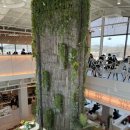 한정로2 이미지