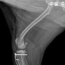 울진동물병원 이미지