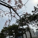 은하수휴게실 이미지