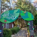 구봉산 치유숲길 입구 | 부산 동구 구봉산치유숲길 부산황토길 있는곳 맨발황토길, 온수족욕장 자연 속 해피힐링타임