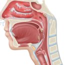 서신한의원 이미지