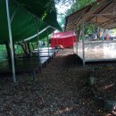 느티나무 그늘아래 평상 이미지