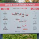 품에 고모리B 이미지