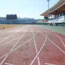 예천스타디움 예천육상실내훈련장 이미지