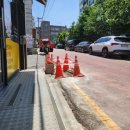 도그랭 강아지놀이방 이미지