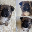 대추밭길60 이미지