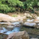 영해농장 이미지