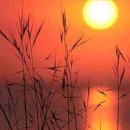 청춘고백 이미지