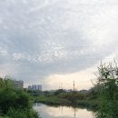 공공자전거대여소 굴포천 이미지